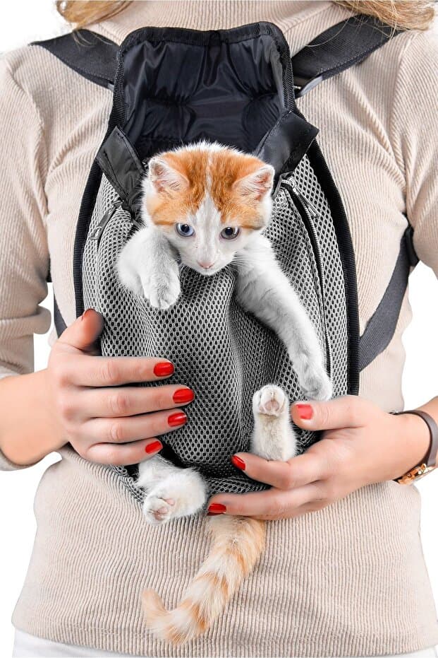 Ana Kucağı Kedi Ve Köpek Taşıma Çantası Kanguru Kedi Ve Köpek Taşıma Çantası