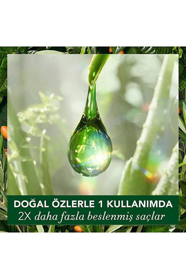 Vegan Şampuan Onarıcı Argan Yağı 350 ml