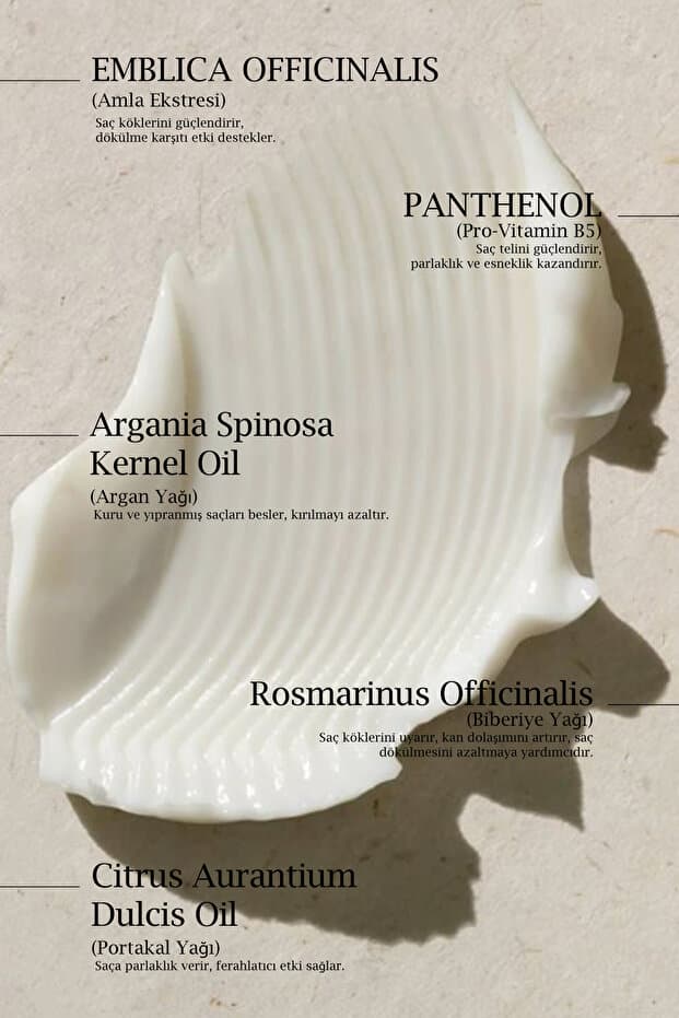 Daily Dream Series | Yoğun Besleyici Kökten Uca Güçlendirici Kompleks Saç Bakım Maskesi