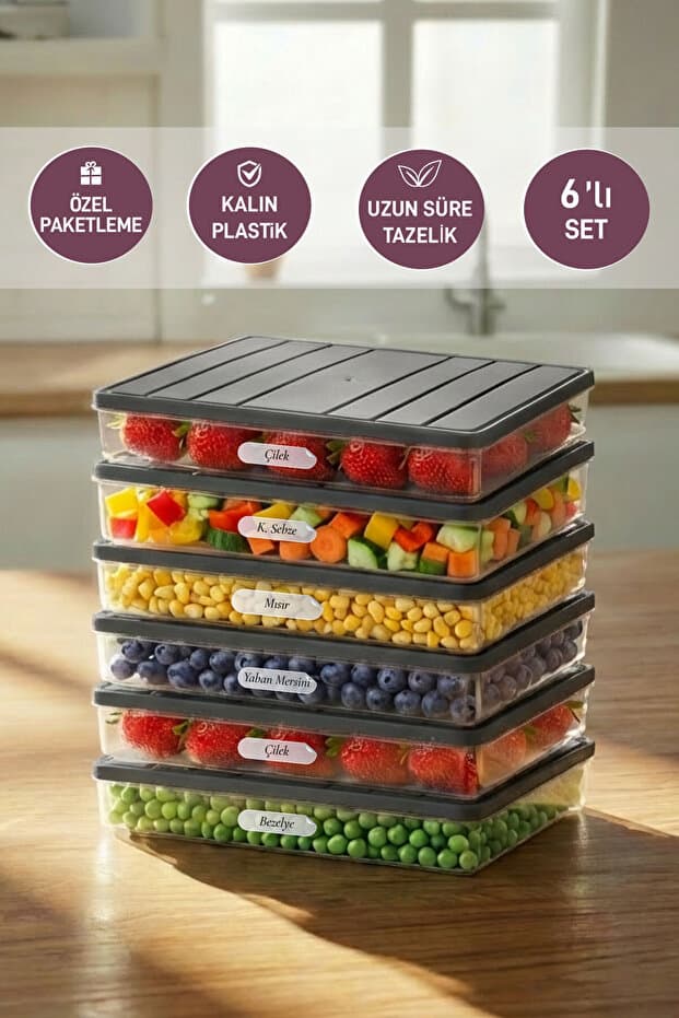6 Adet 2,5 Lt. Nora Organizer Buzdolabı Buzluk Düzenleyici Saklama Kabı