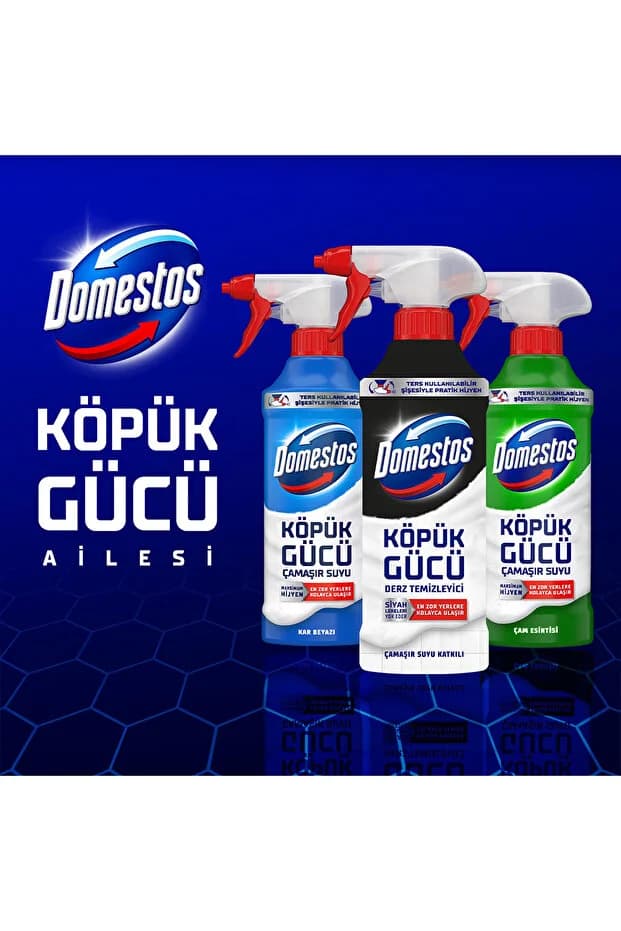 Köpük Gücü Derz Temizleyici 450 ml x1